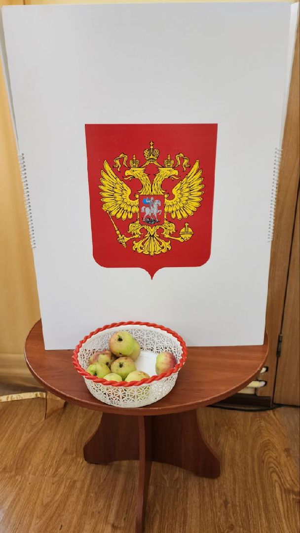 Дмитров, Выборы 2023, Губернатор