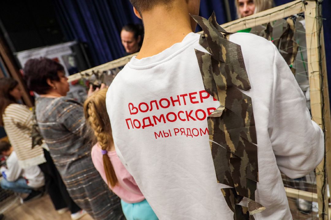 Домодедово, волонтеры, общество