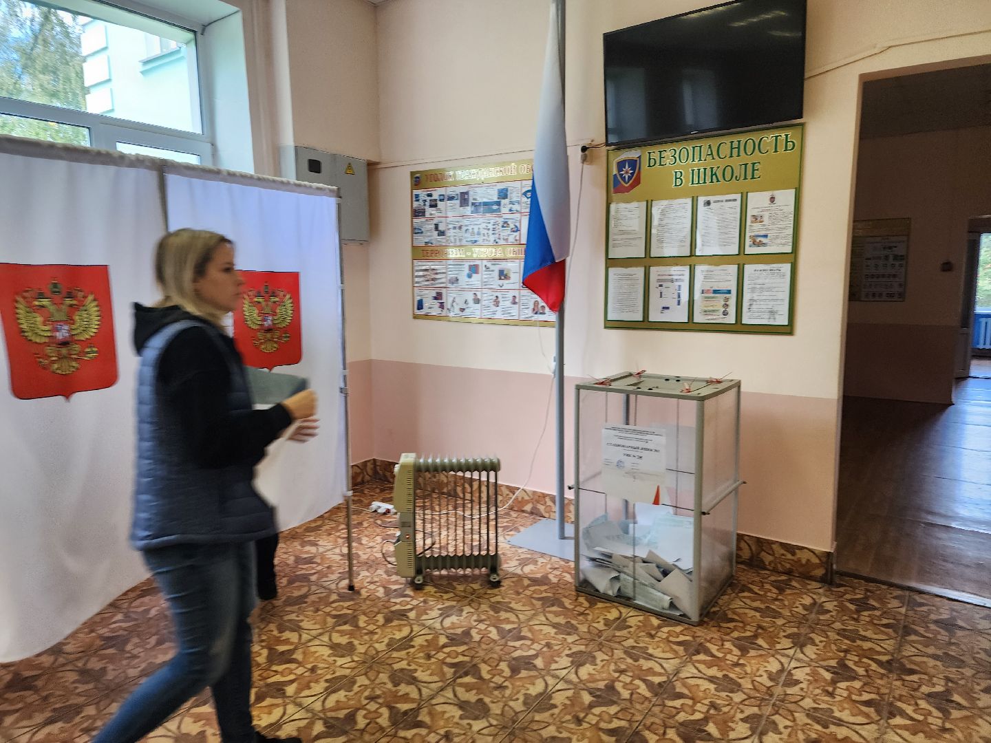 Манихино, Истры, выборы, голосование