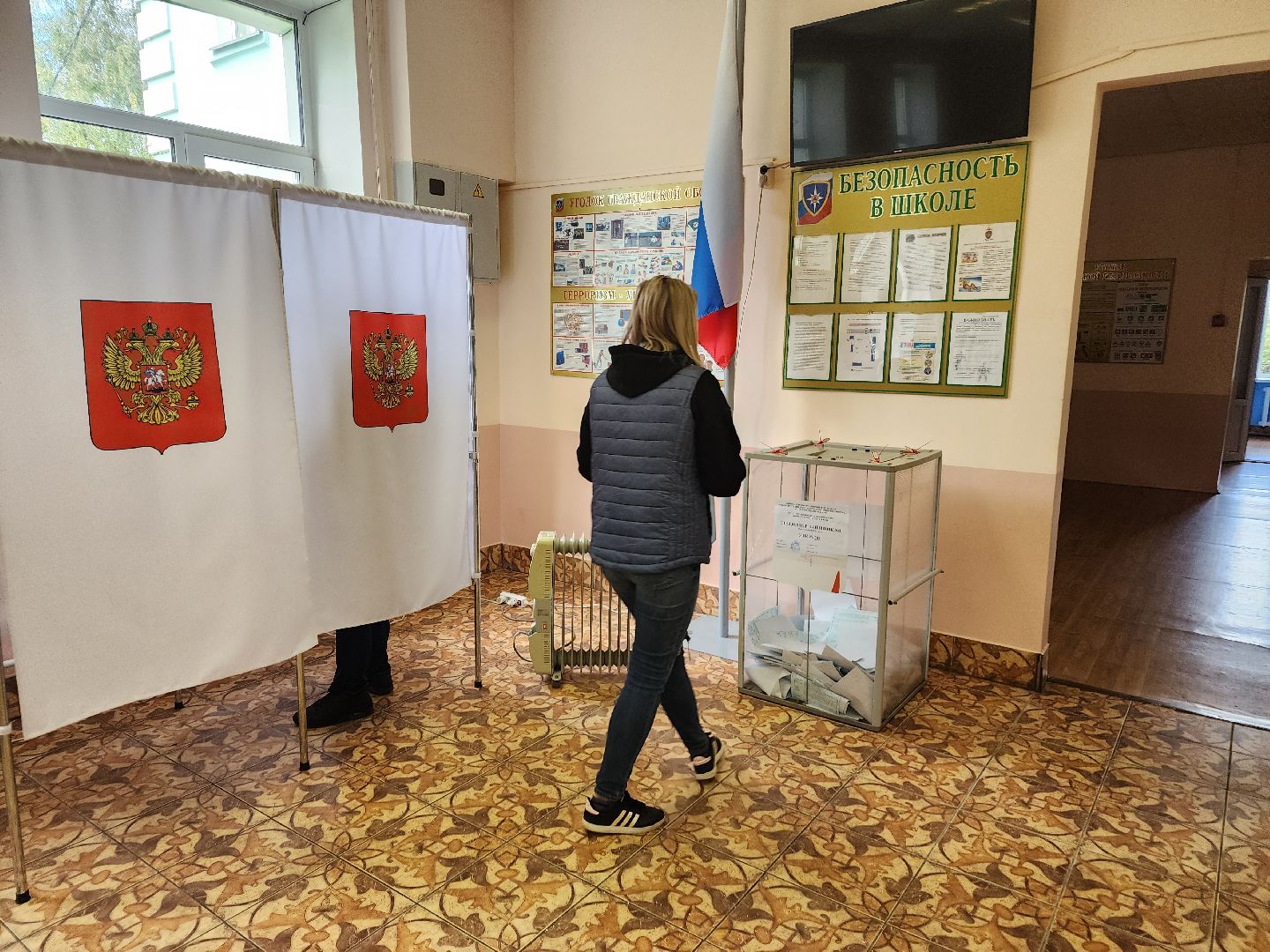 Манихино, Истры, выборы, голосование