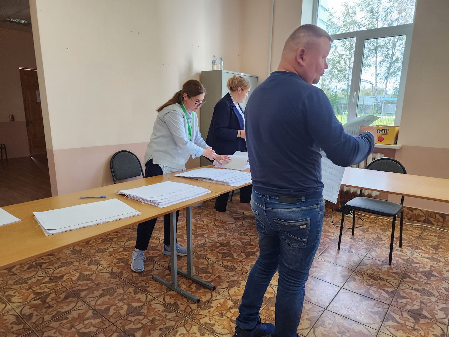 Манихино, Истры, выборы, голосование