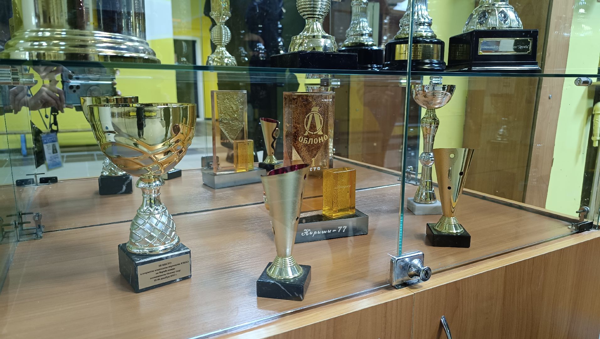 Лобня, общество, выборы