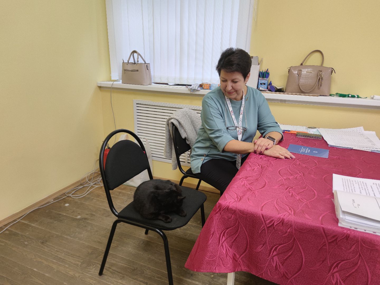 выборы 2023, кот, избирательный участок, Талдом, поселок Северный