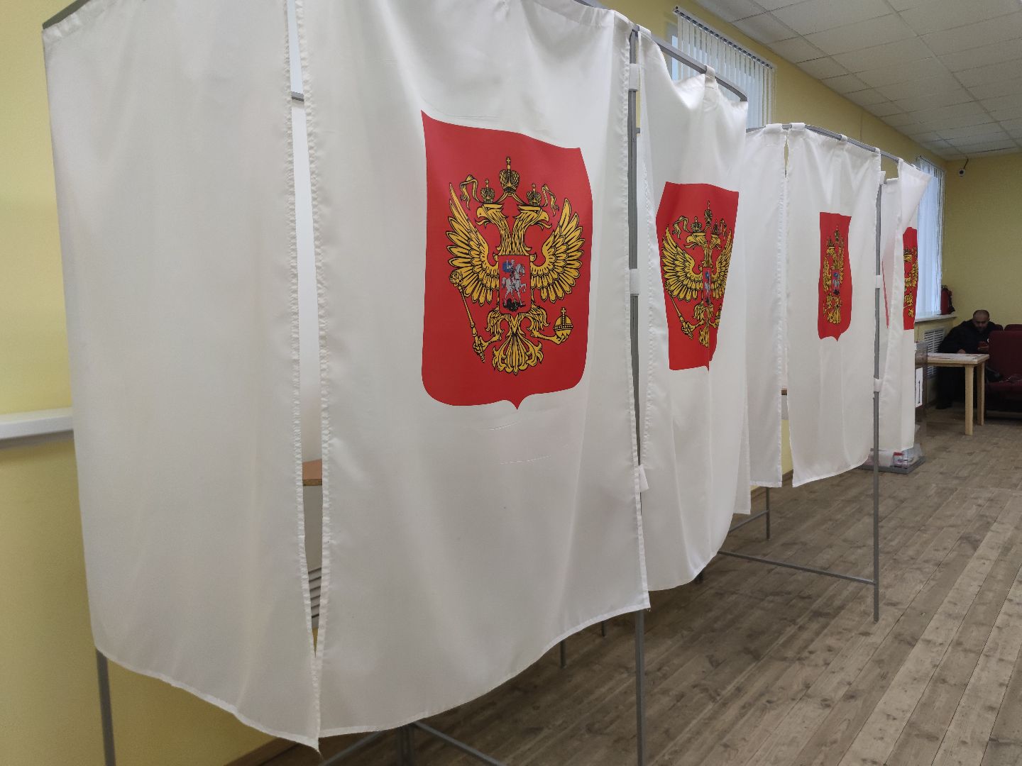 выборы 2023, кот, избирательный участок, Талдом, поселок Северный