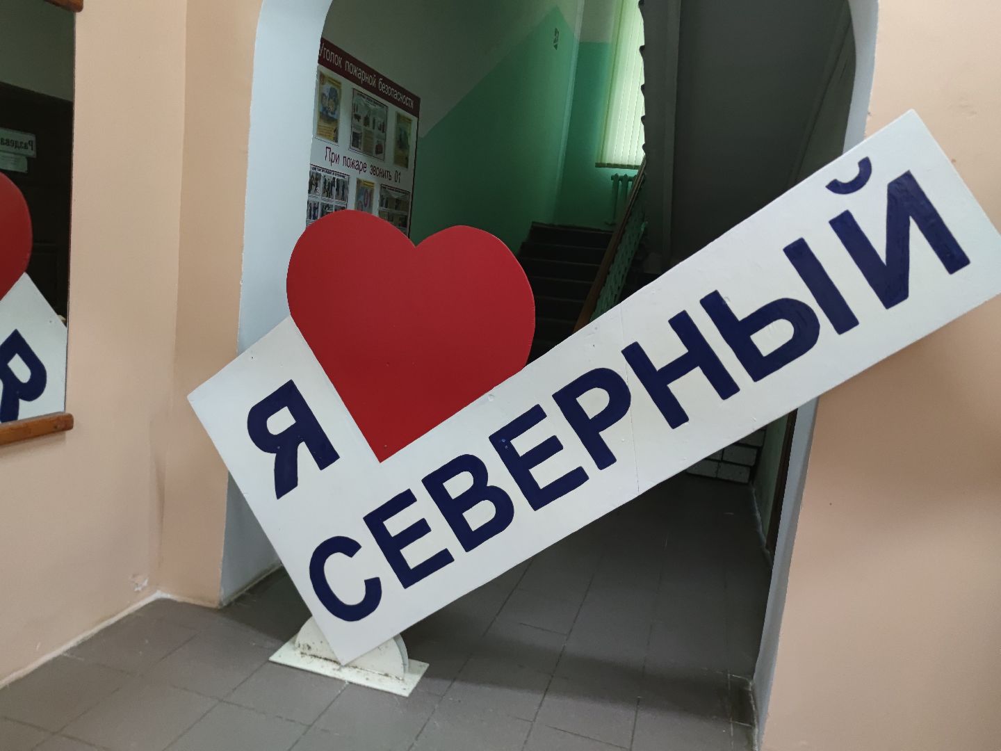 выборы 2023, кот, избирательный участок, Талдом, поселок Северный