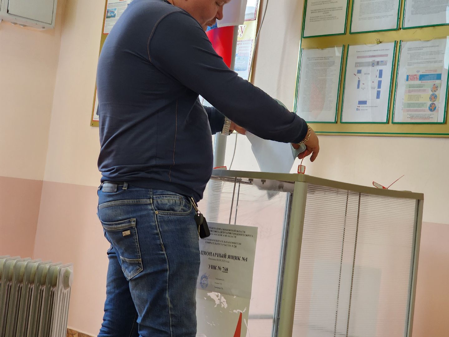 Выборы, голосование, Манихино