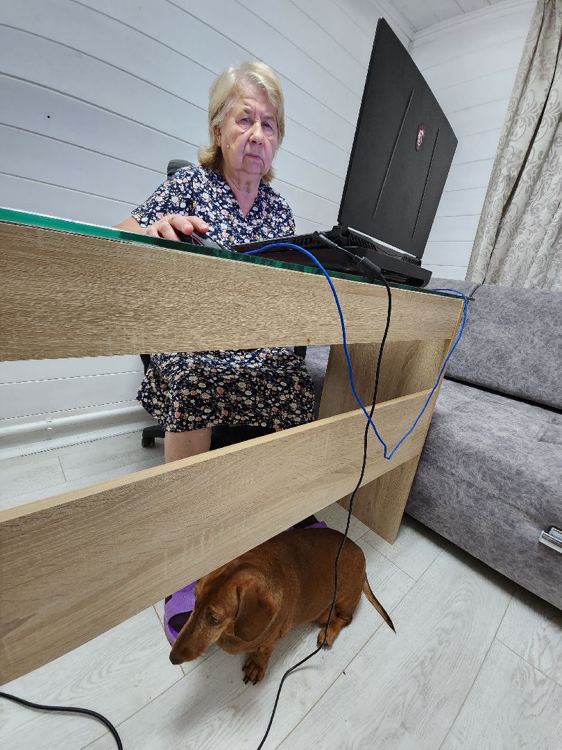 Выборы 2023, Домодедово