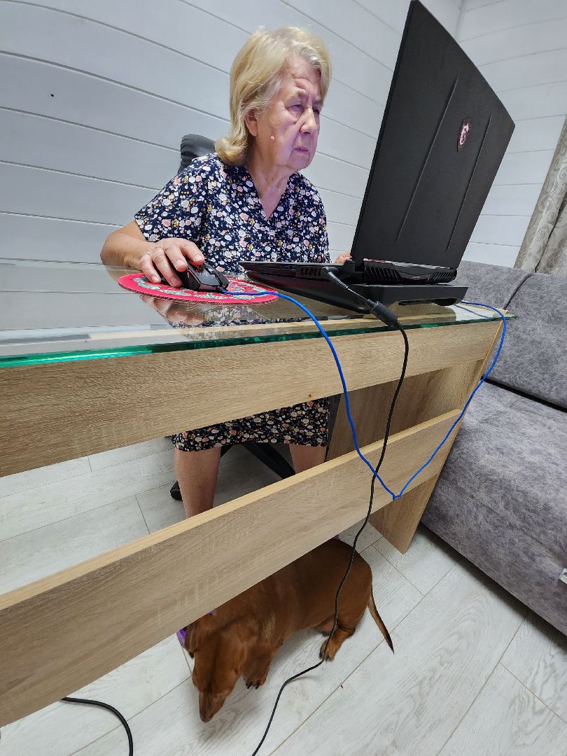 Выборы 2023, Домодедово