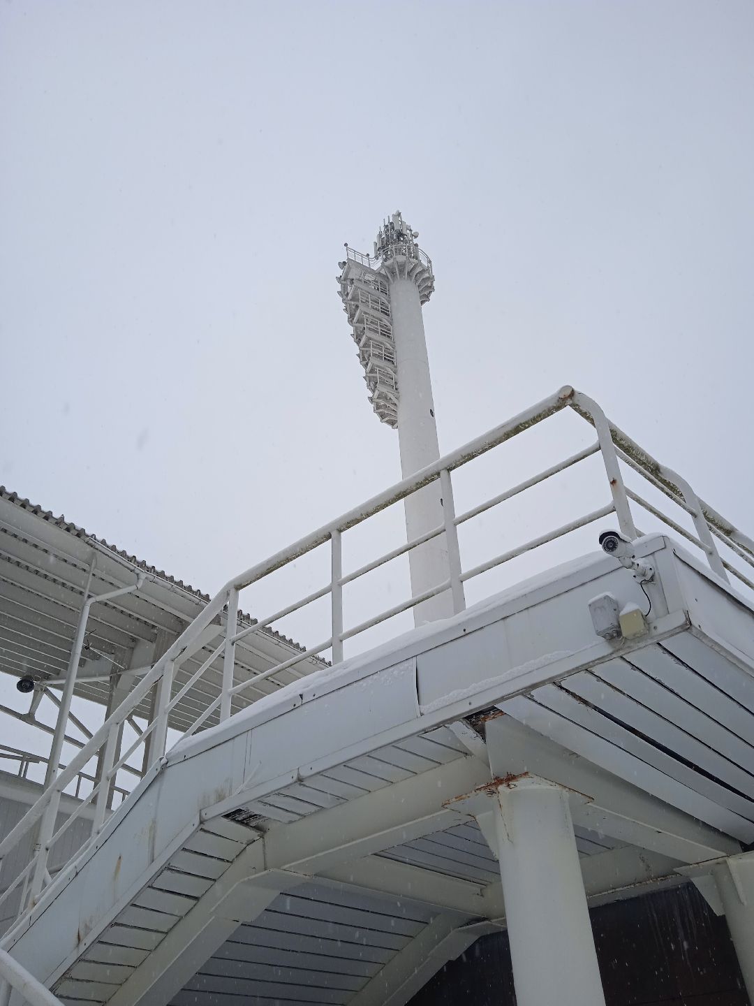 метание молота, медаль, серебро, золото, чемпион, Жуковский, первенство России