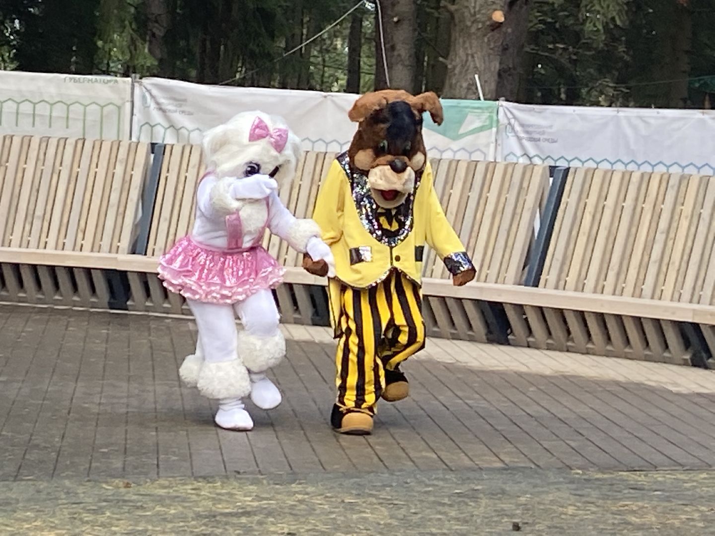 парк, лесопарк,