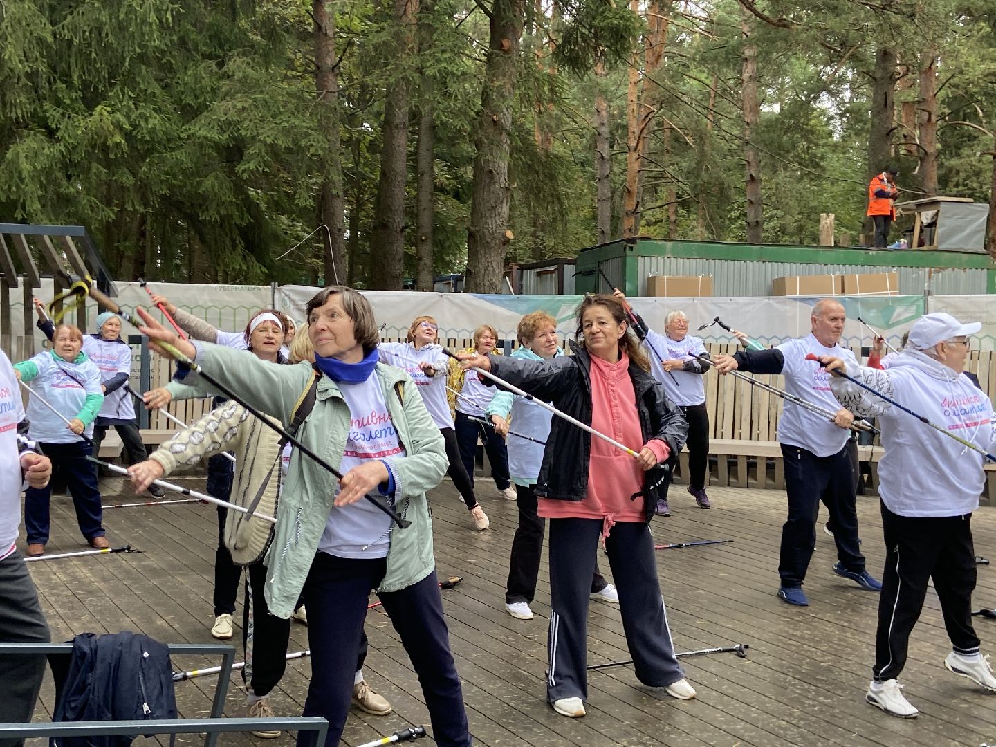 парк, лесопарк,