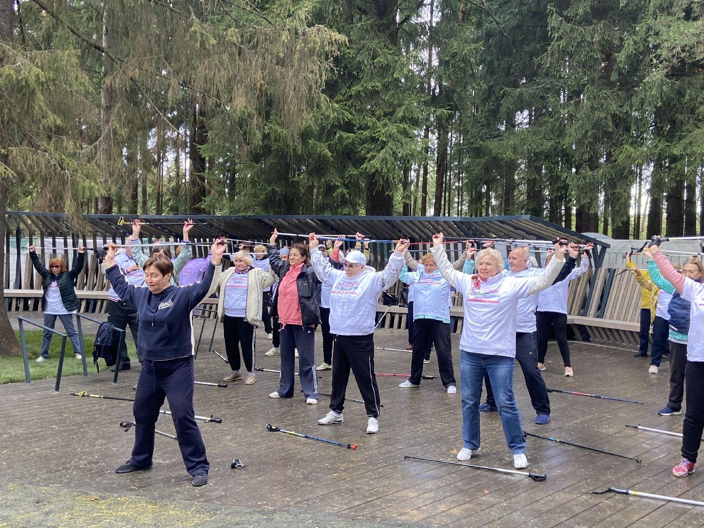 парк, лесопарк,