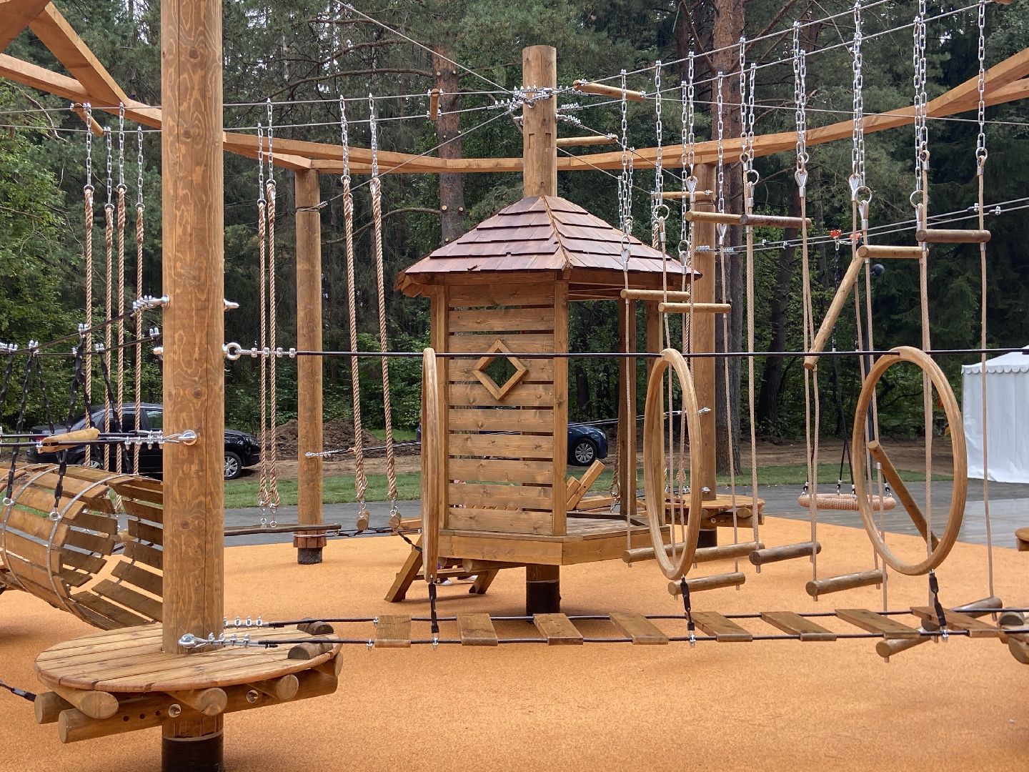 парк, лесопарк,