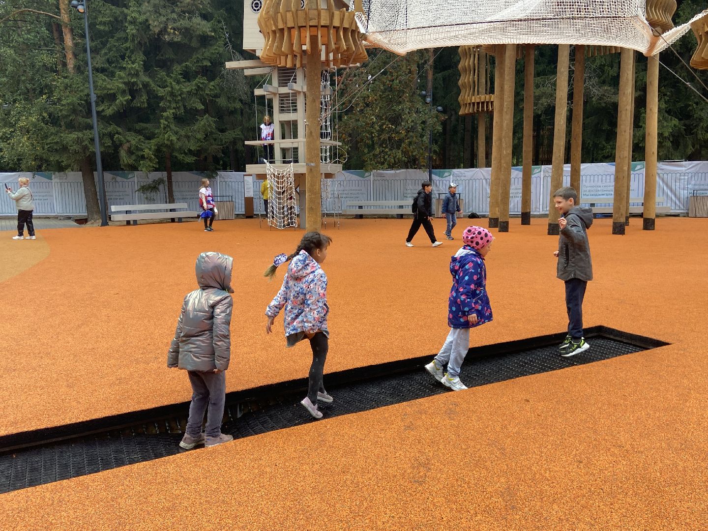 парк, лесопарк,