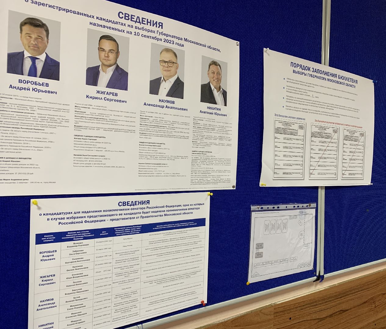 Балашиха, подмосковье выбирает 2023, выборы губернатора,