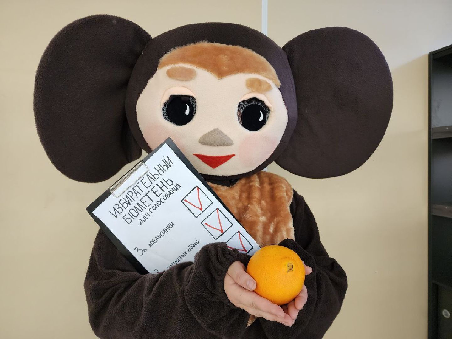 чебурашка, выборы 2023, выборы губернатора, выборы депутатов, Лосино-Петровский