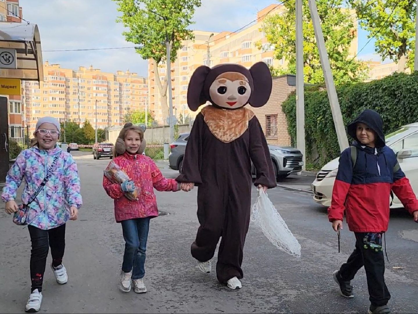 чебурашка, выборы 2023, выборы губернатора, выборы депутатов, Лосино-Петровский