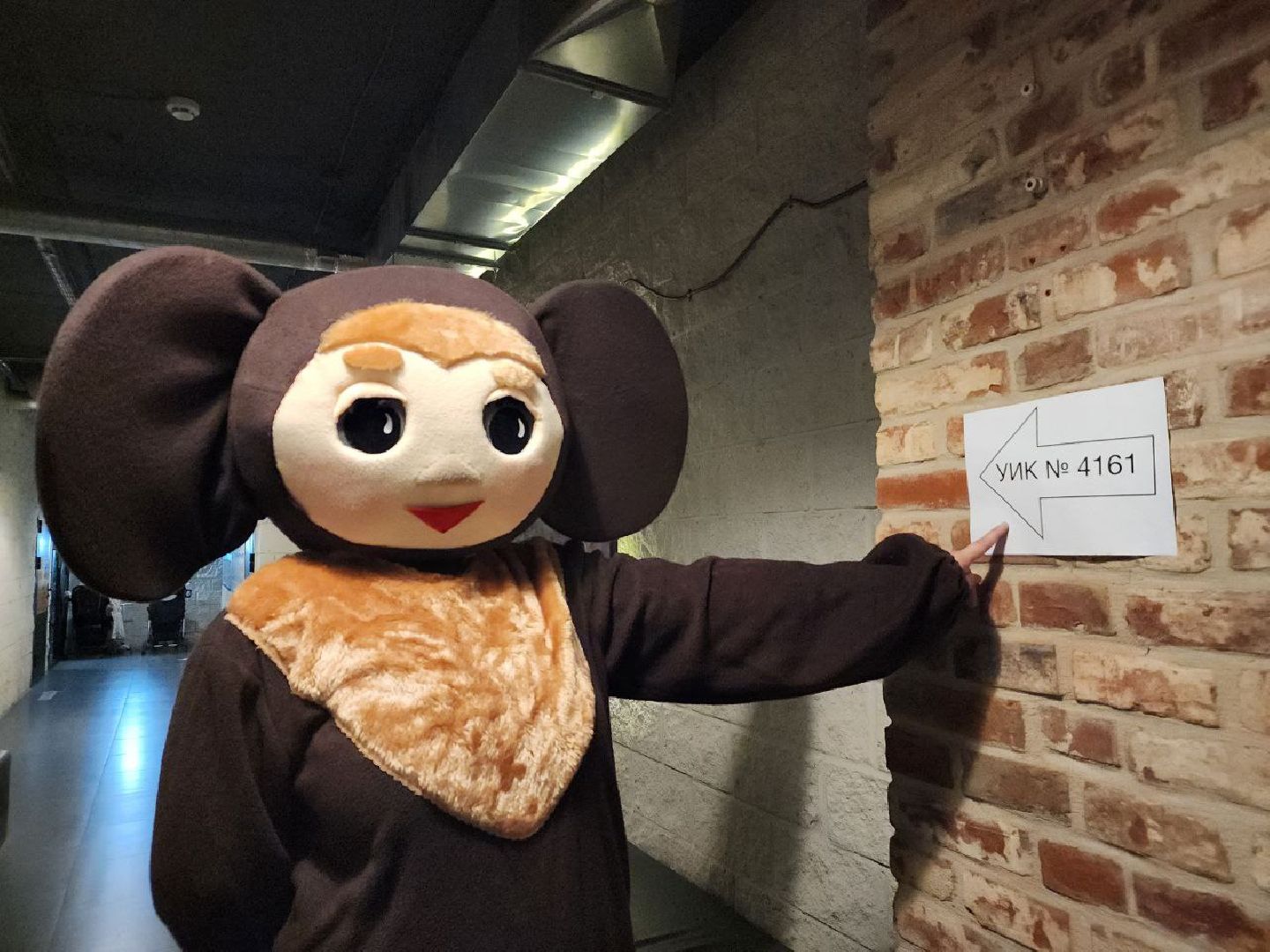 чебурашка, выборы 2023, выборы губернатора, выборы депутатов, Лосино-Петровский