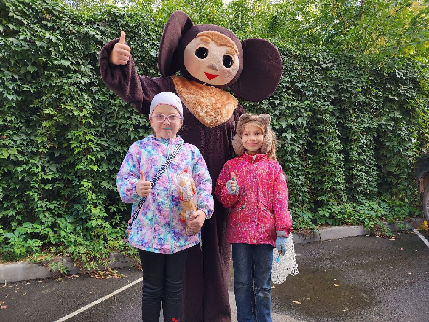 чебурашка, выборы 2023, выборы губернатора, выборы депутатов, Лосино-Петровский