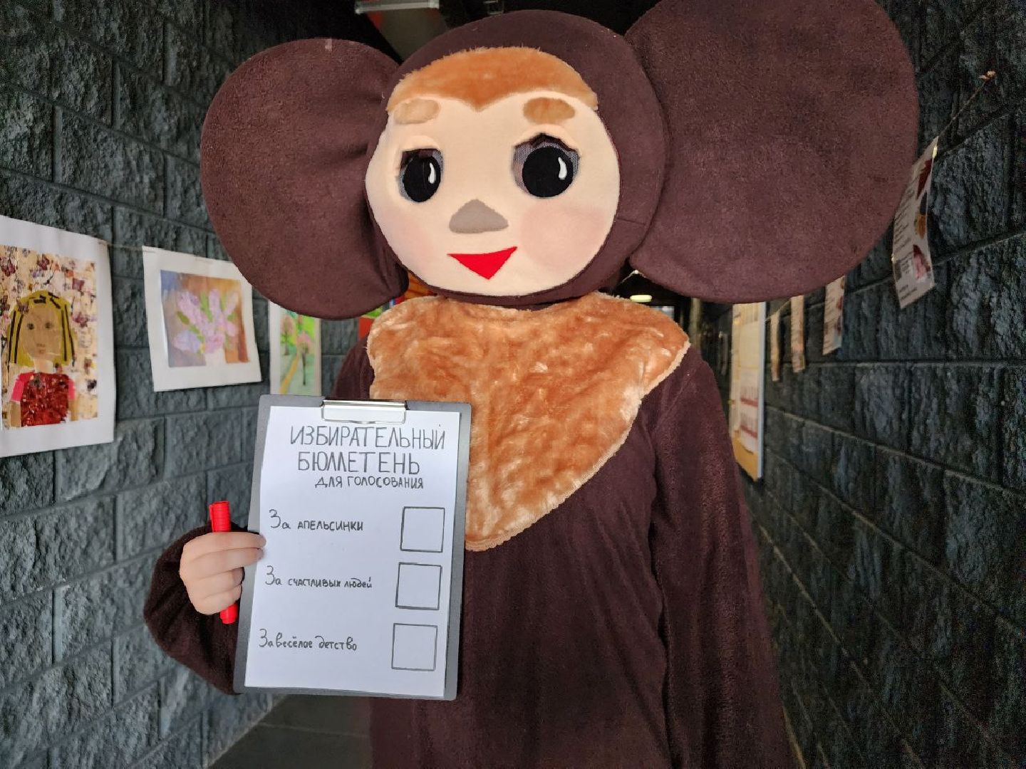 чебурашка, выборы 2023, выборы губернатора, выборы депутатов, Лосино-Петровский
