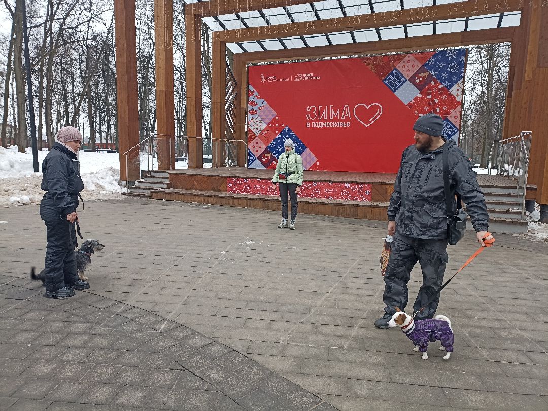 Серпухов, парк, дрессировка, собаки