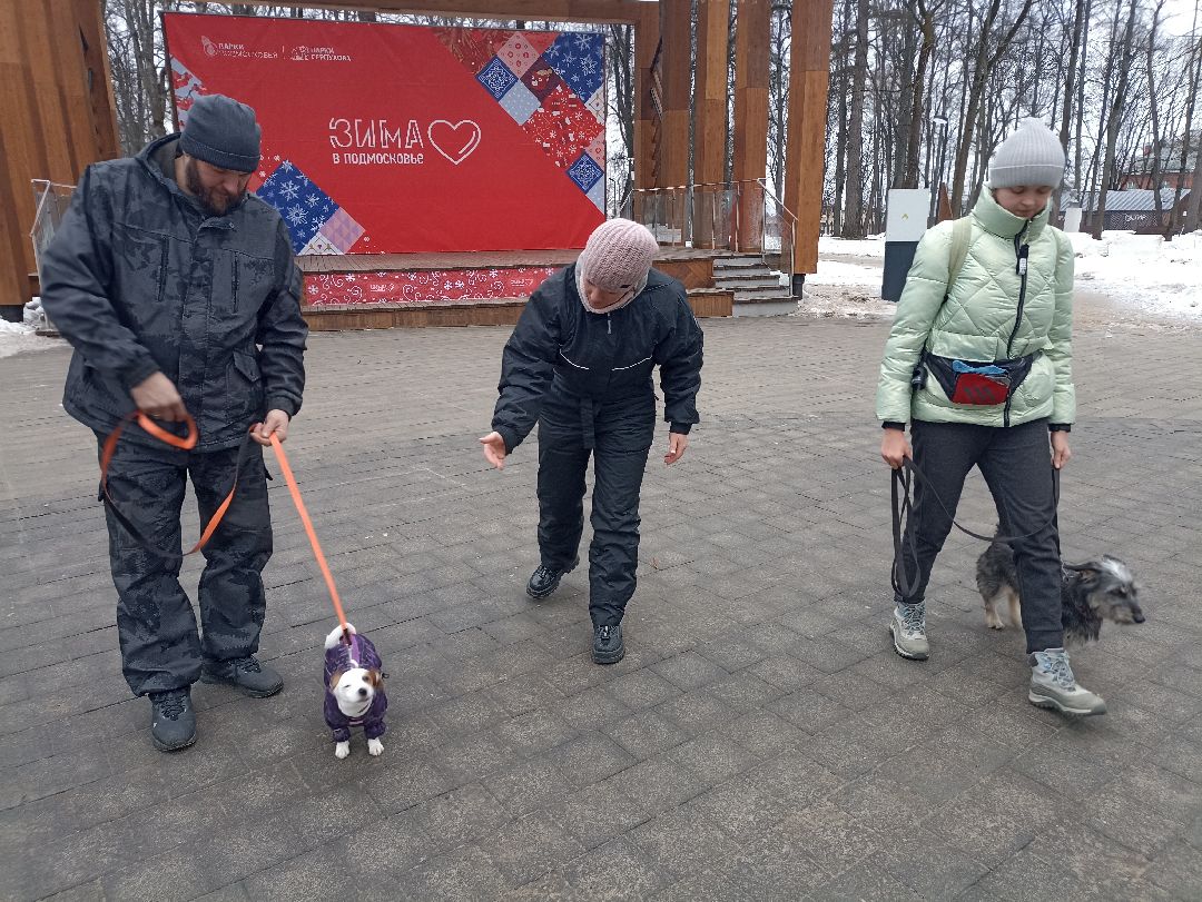 Серпухов, парк, дрессировка, собаки