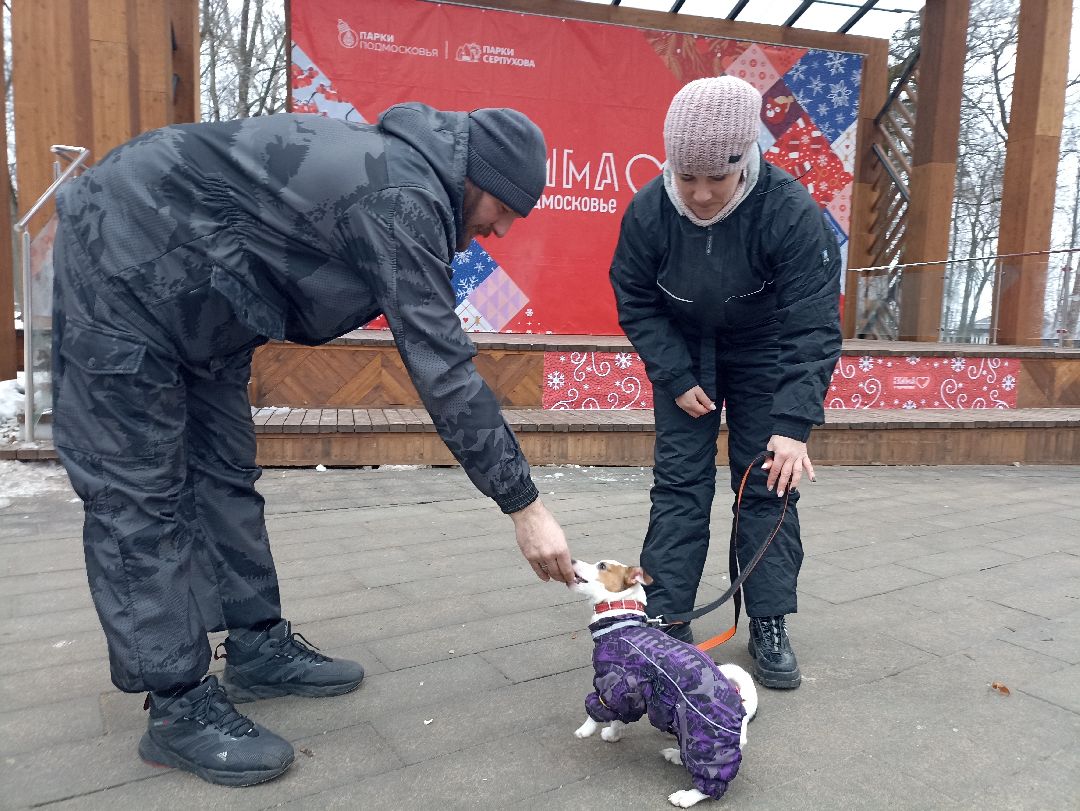 Серпухов, парк, дрессировка, собаки