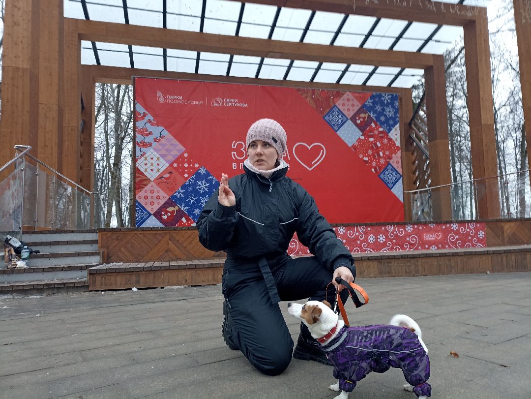 Серпухов, парк, дрессировка, собаки