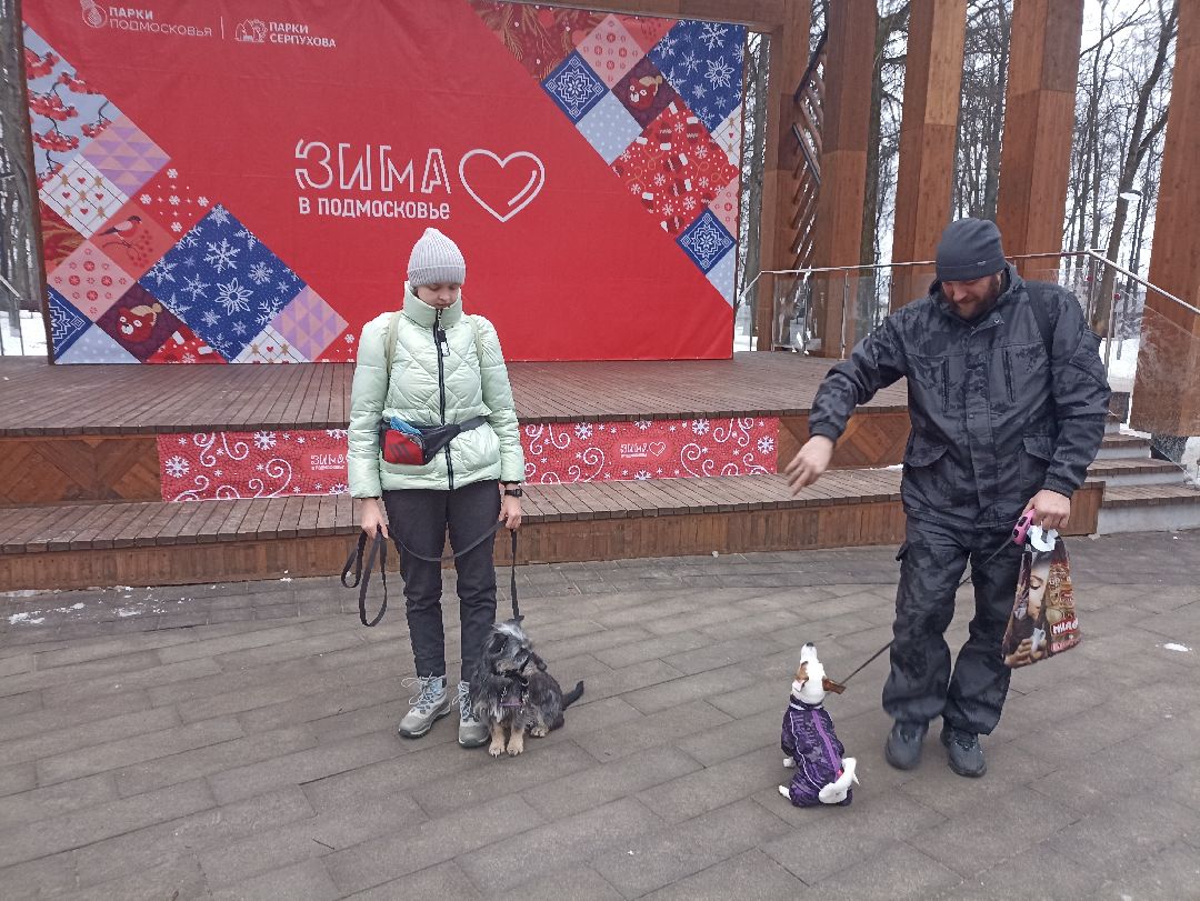 Серпухов, парк, дрессировка, собаки