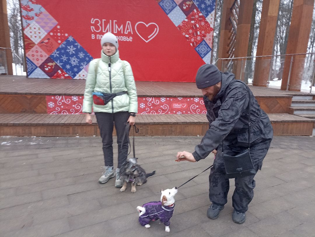 Серпухов, парк, дрессировка, собаки