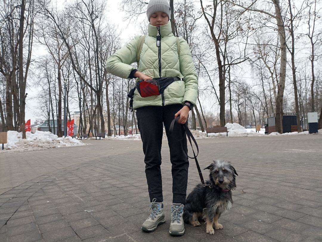 Серпухов, парк, дрессировка, собаки