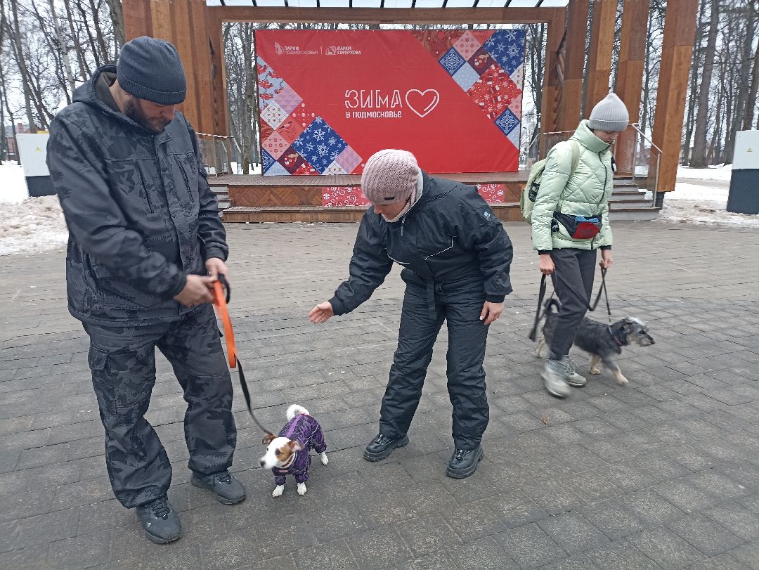 Серпухов, парк, дрессировка, собаки