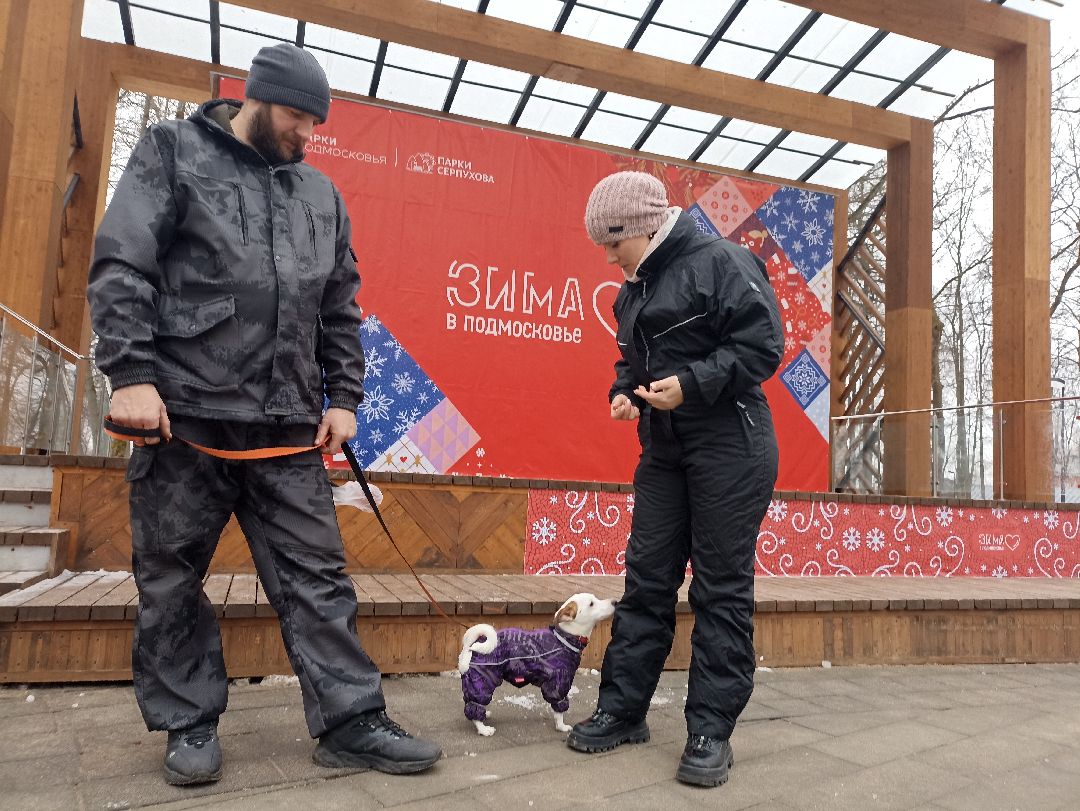 Серпухов, парк, дрессировка, собаки