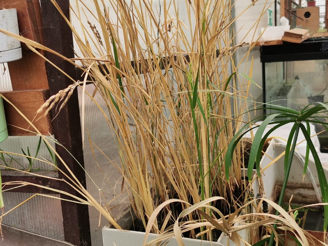 Подольск, образование