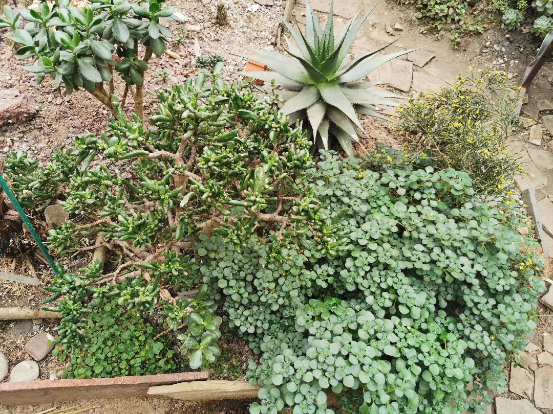 Подольск, образование