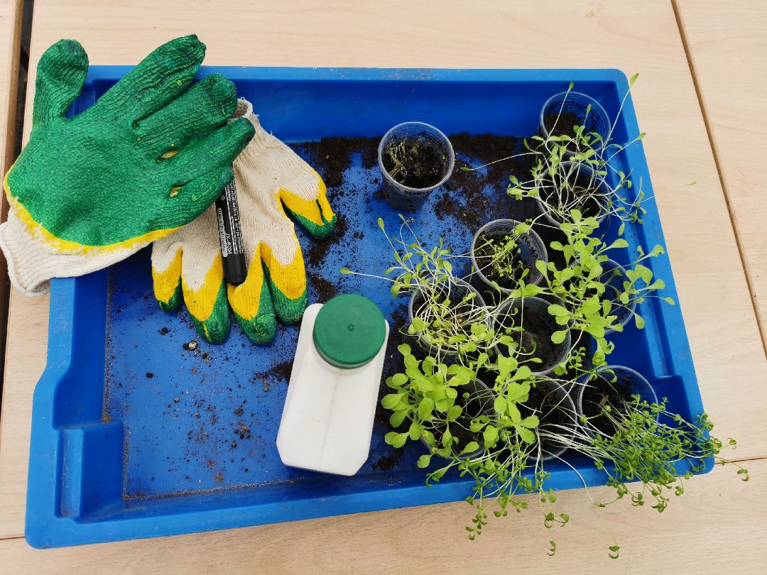 Подольск, образование