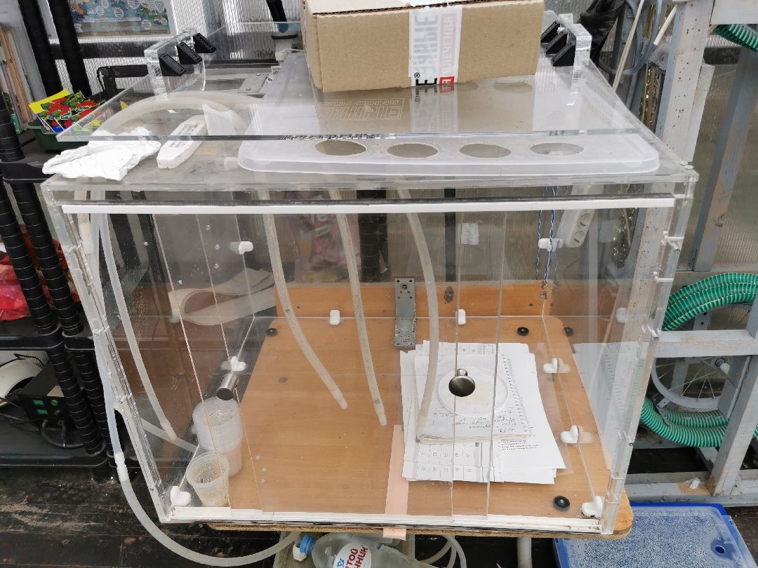 Подольск, образование