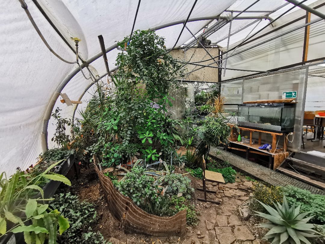 Подольск, образование