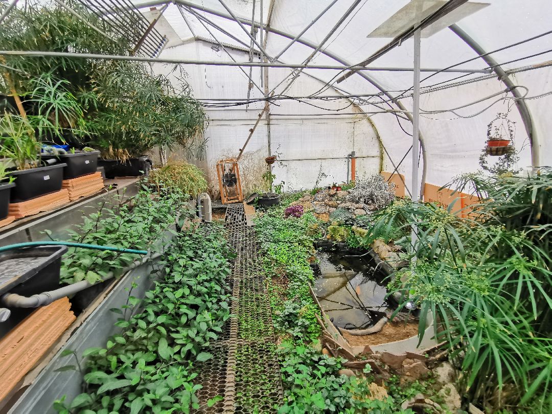 Подольск, образование