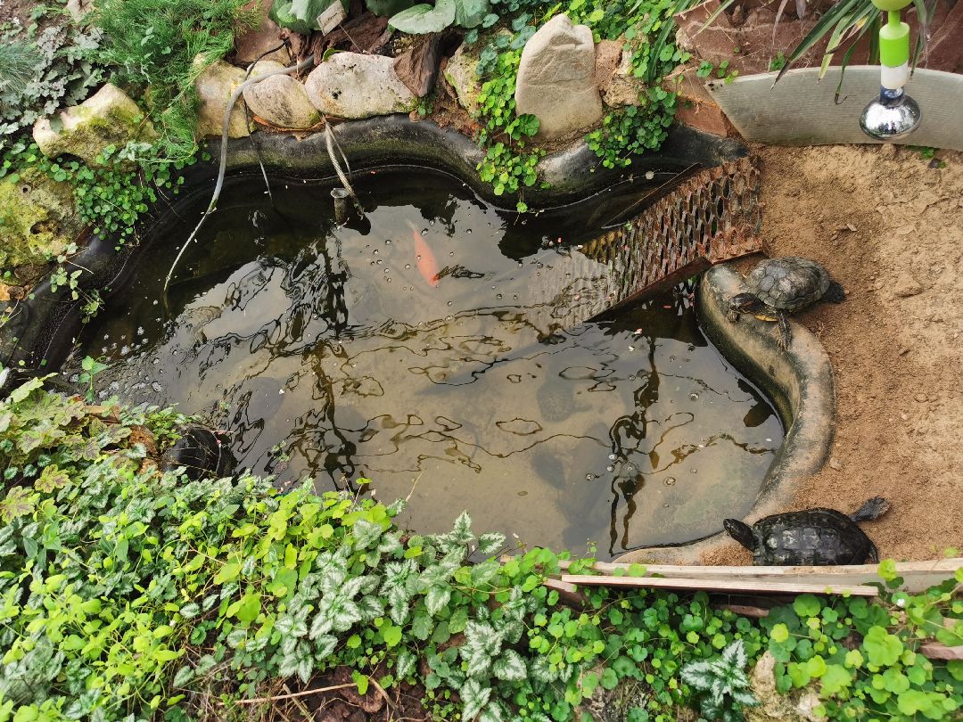 Подольск, образование