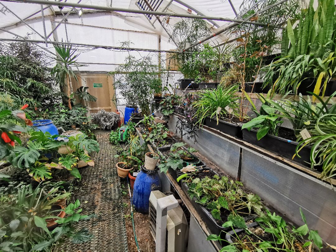 Подольск, образование