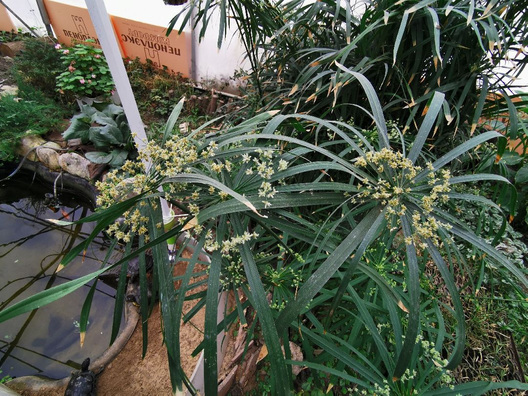 Подольск, образование