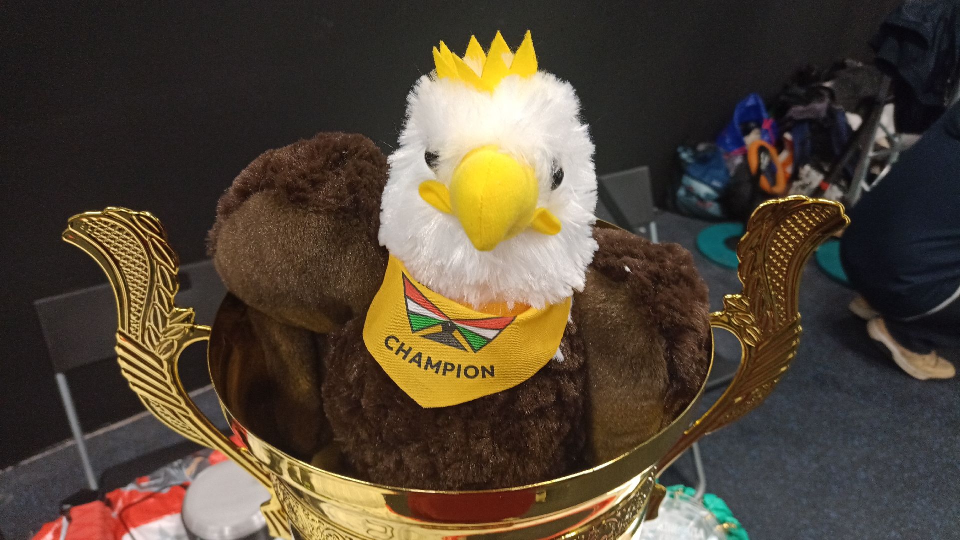 Реутов, день города, праздник, спорт, ниндзя