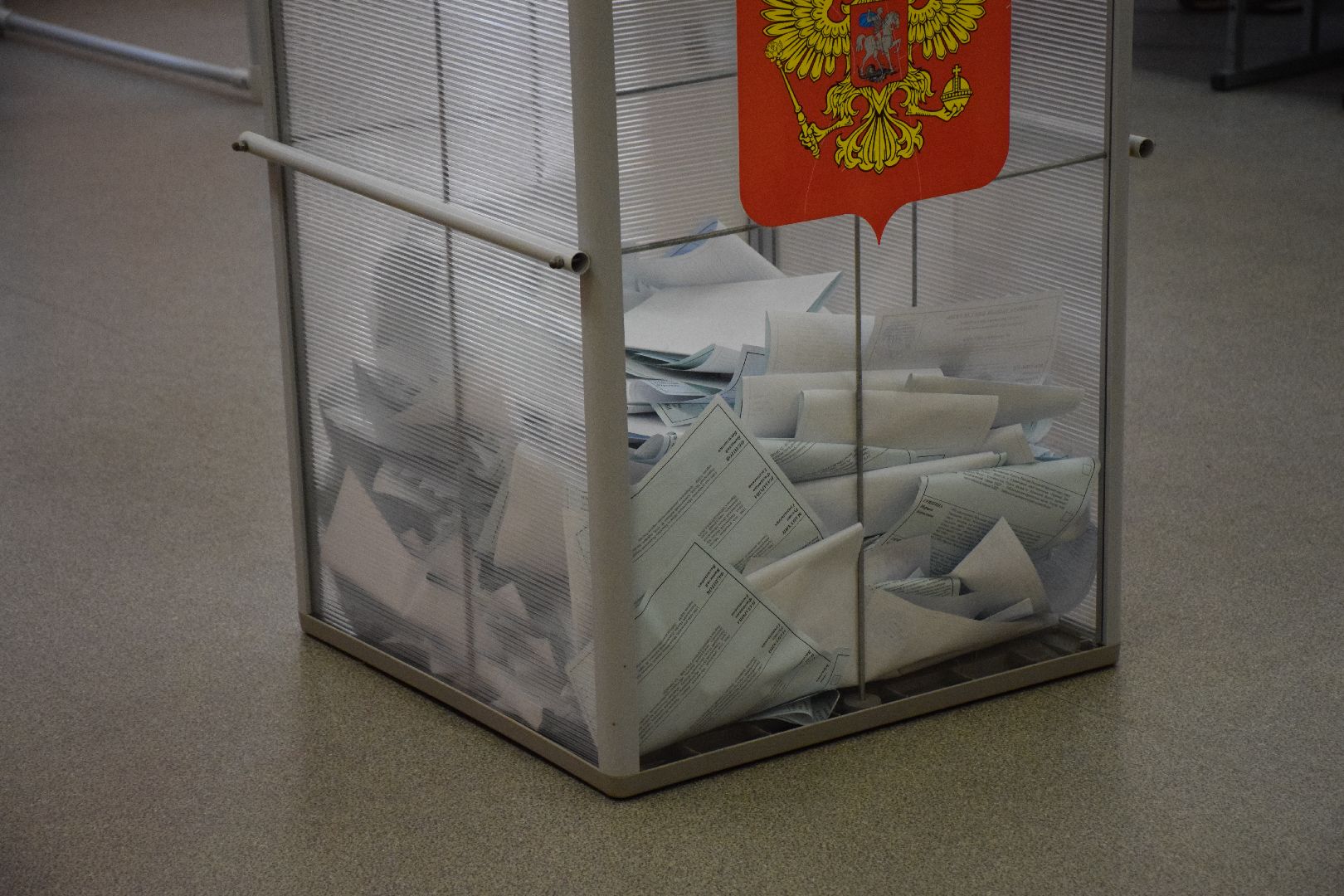 Павловский Посад, городской округ Павловский Посад, выборы, люди, голосование, Подмосковье выбирает 2023, ЕДГ2023