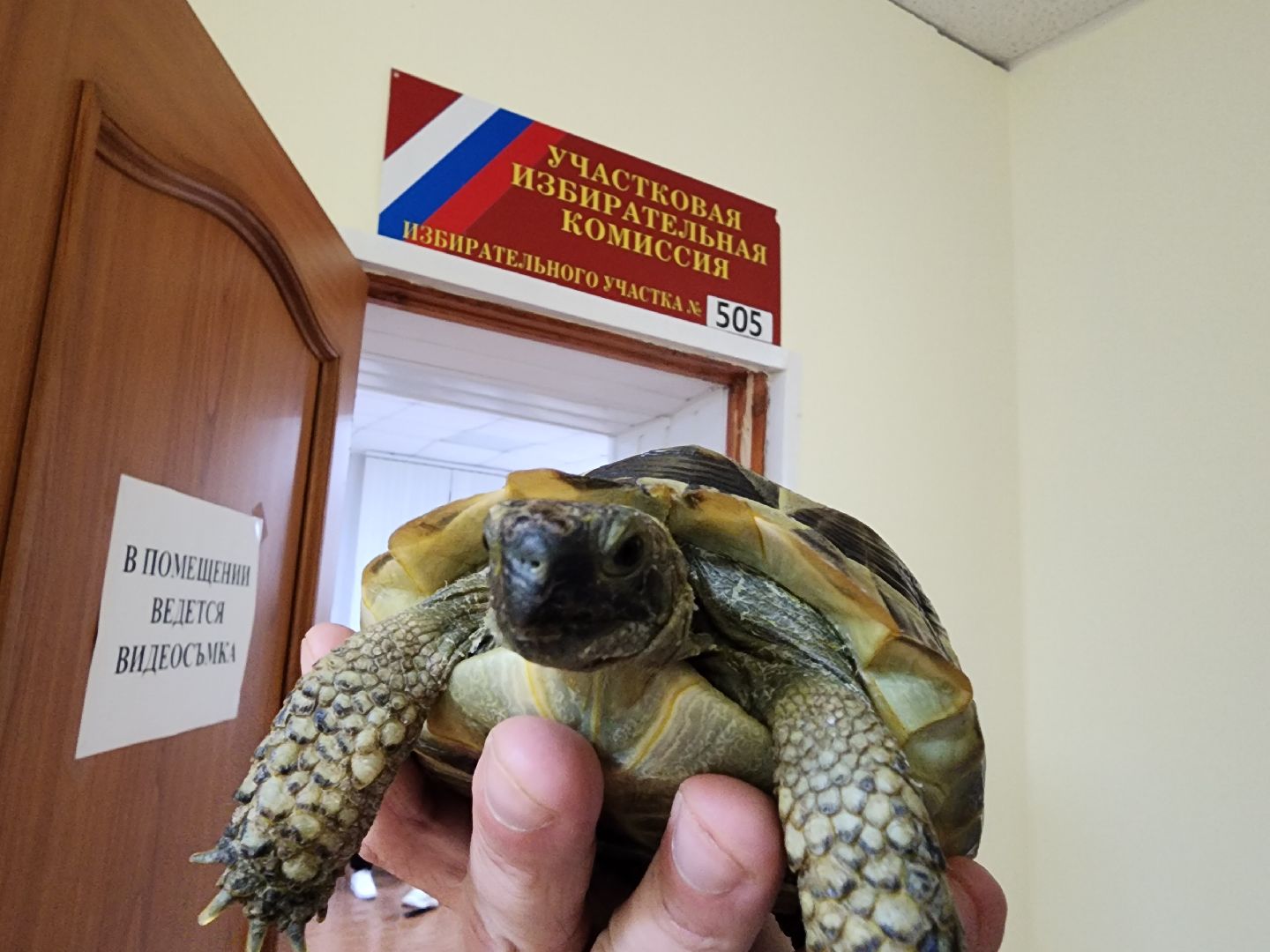 егореьвск, выборы, выборы 2023, выборы-2023, выборы губернатора, голосование, едг2023, подмосковьевыбирает2023,