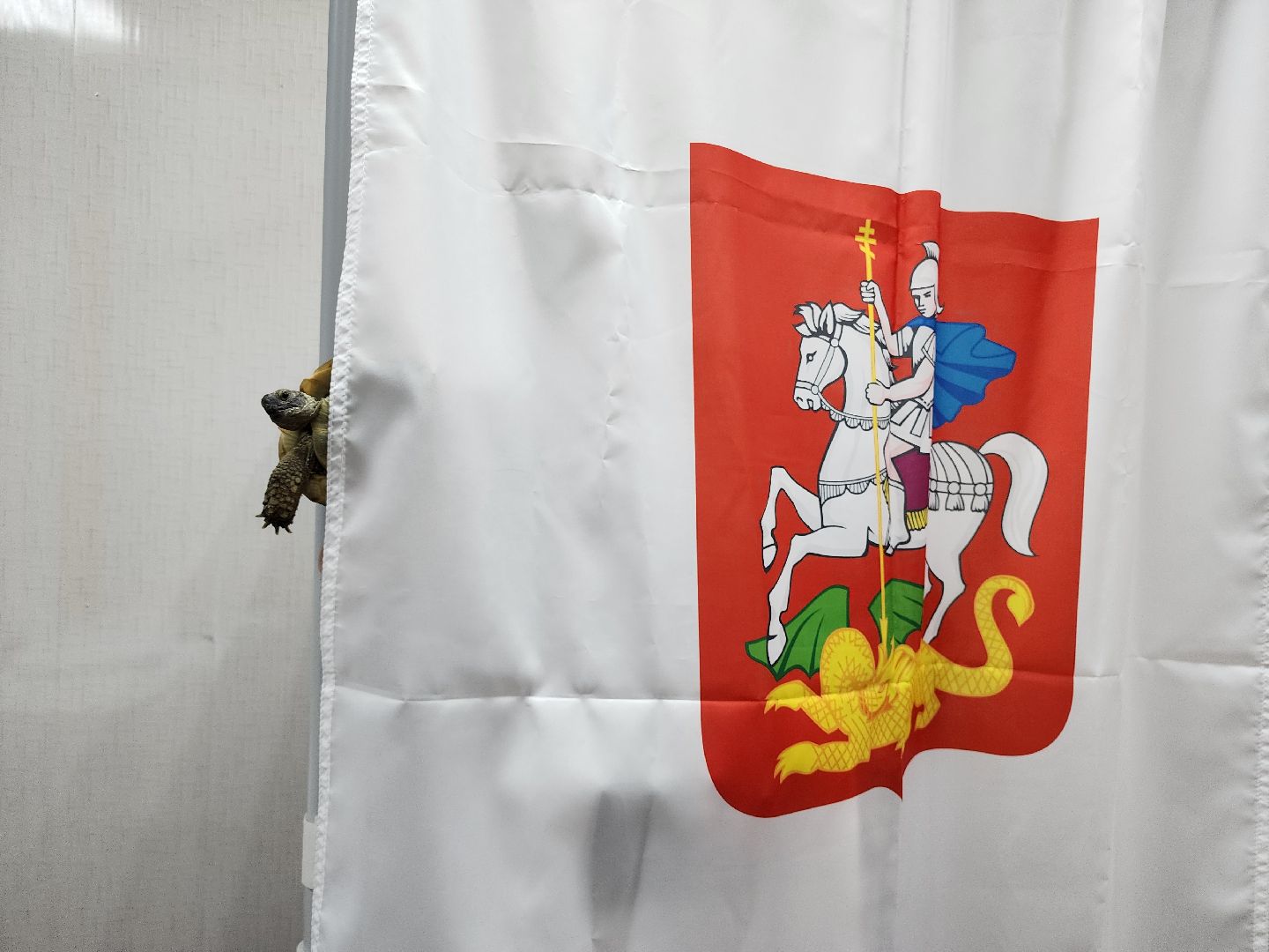 егореьвск, выборы, выборы 2023, выборы-2023, выборы губернатора, голосование, едг2023, подмосковьевыбирает2023,