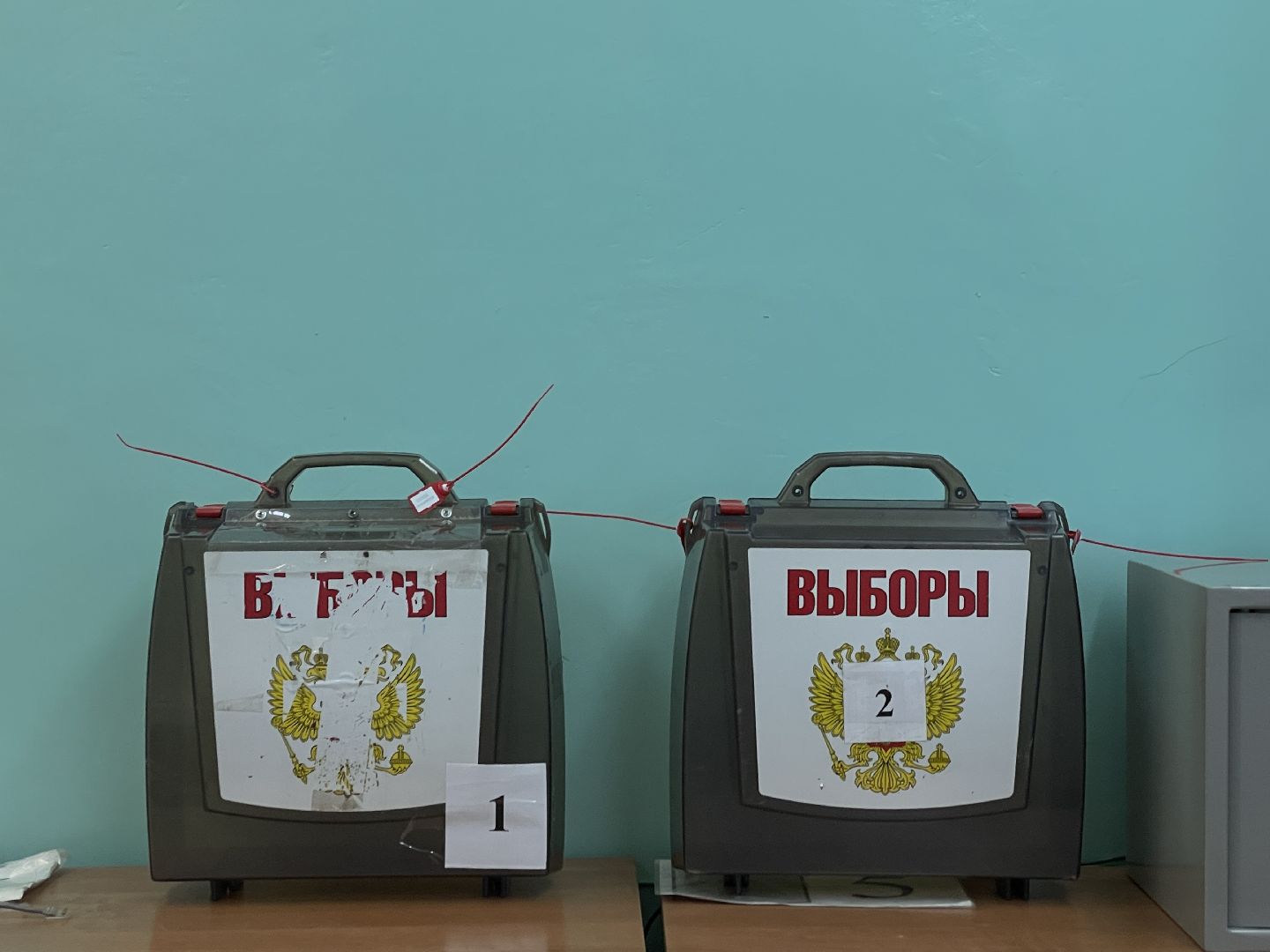 Выборы, губернатор, Подмосковье, голос