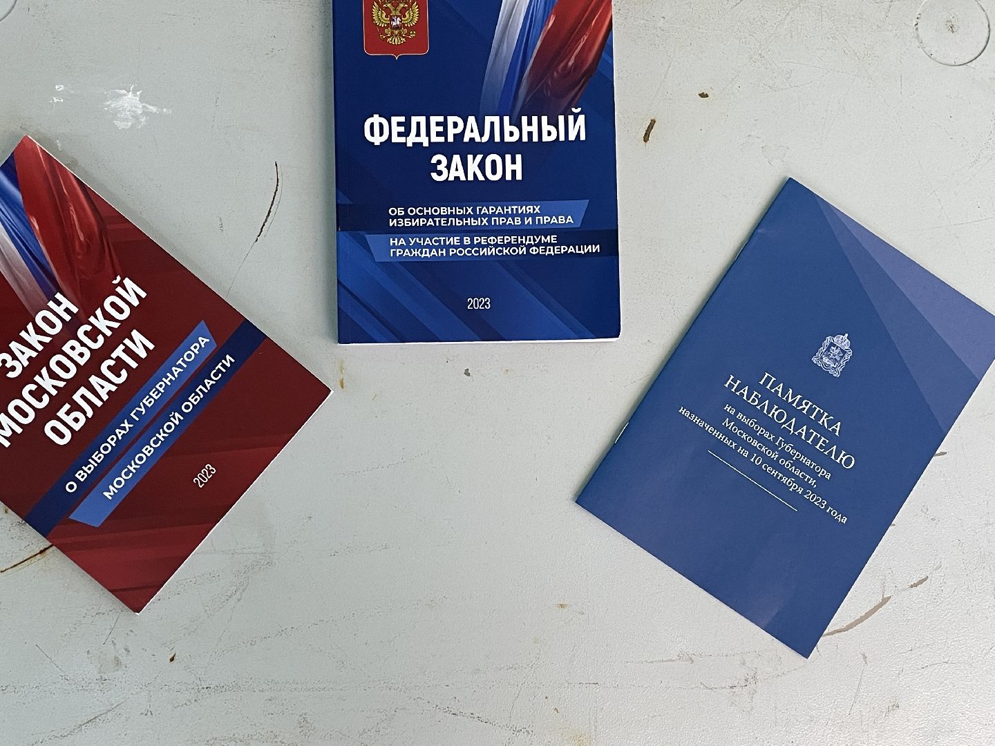 Выборы, губернатор, Подмосковье, голос
