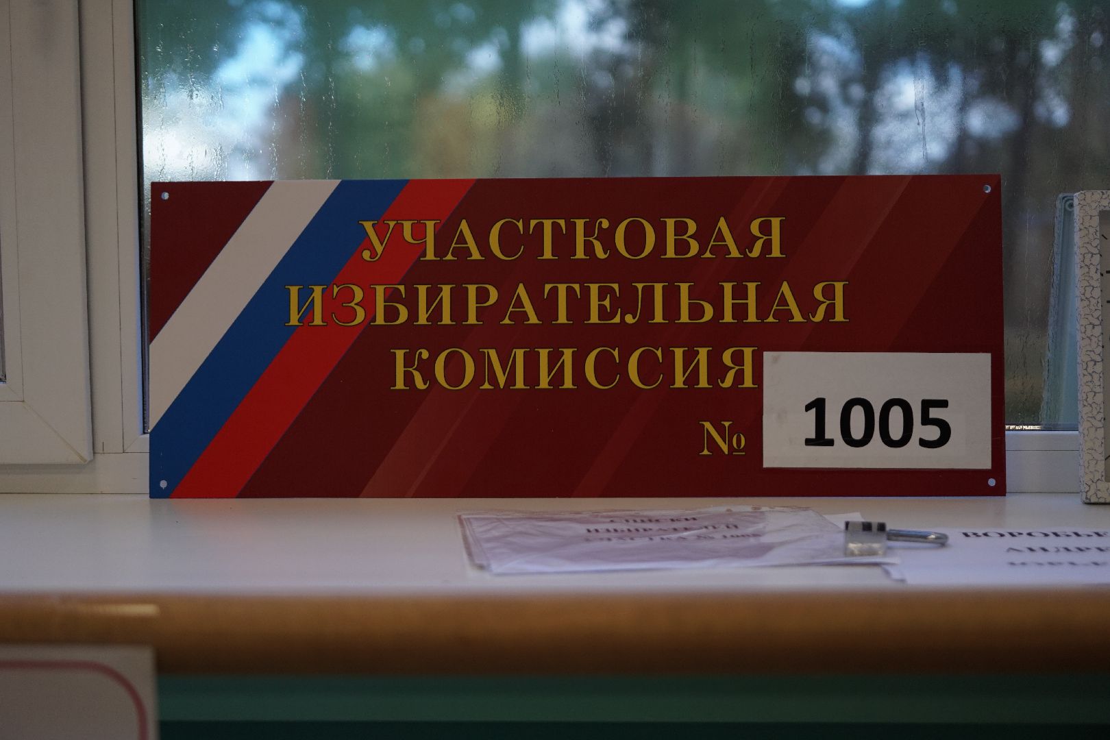 Коломна, выборы, выборы губернатора,