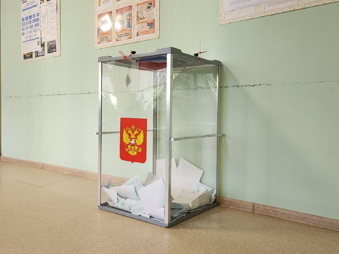 выборы 2023, выборы губернатора, выборы депутатов, Лосино-Петровский